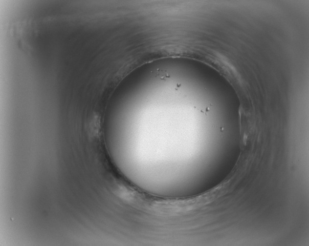 X0000070880025200606302149