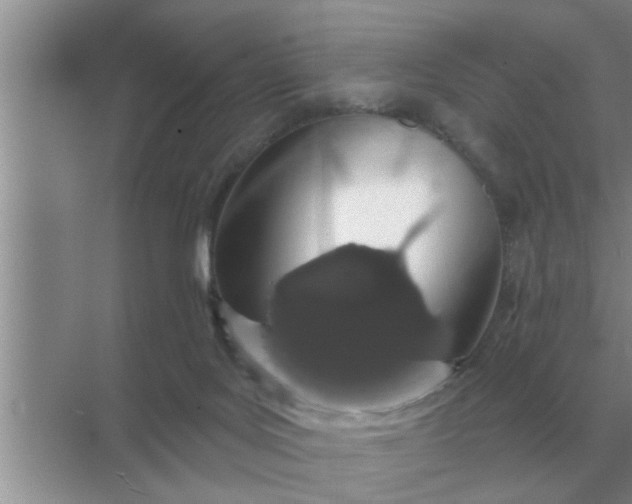 X0000070880027200606302149