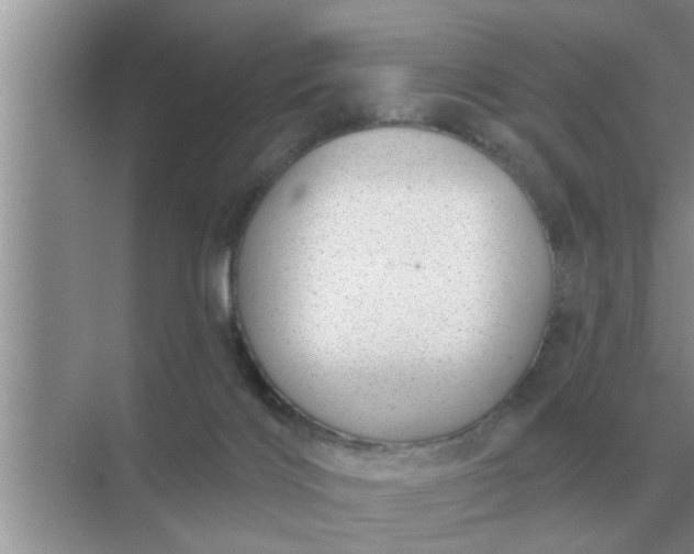 X0000070880028200606302149