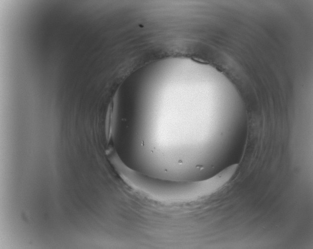 X0000070880029200606302149