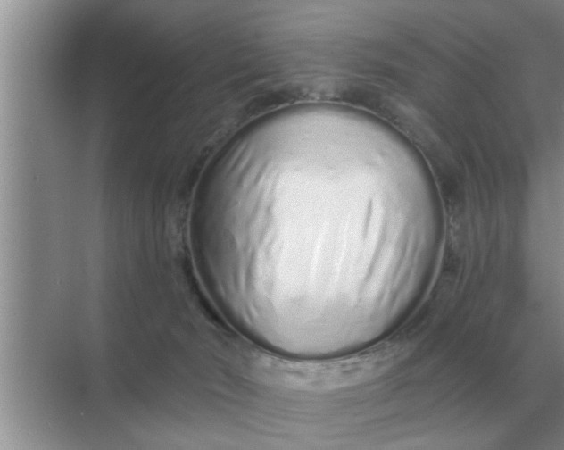 X0000070880030200606302149