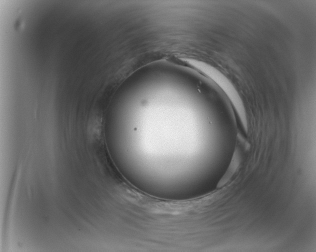 X0000070880033200606302149