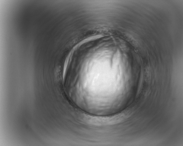 X0000070880034200606302149