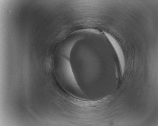 X0000070880035200606302149