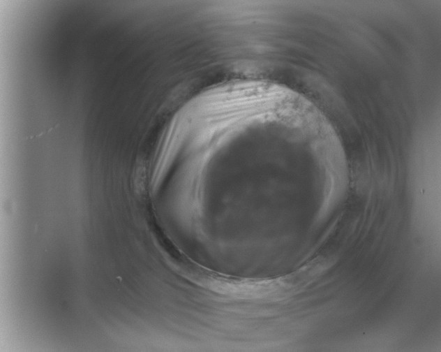 X0000070880036200606302149