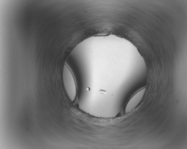 X0000070880037200606302149