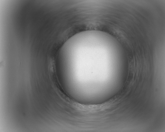 X0000070880038200606302149