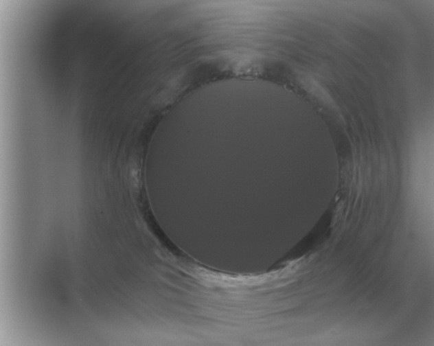 X0000070880039200606302149