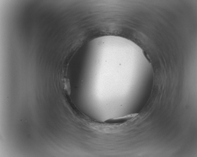 X0000070880040200606302149