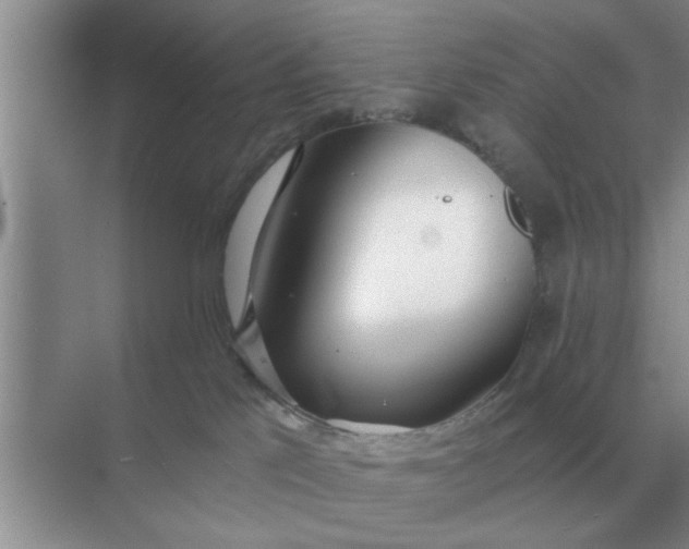 X0000070880041200606302149