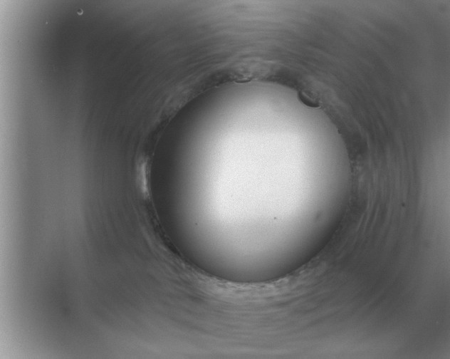 X0000070880042200606302149