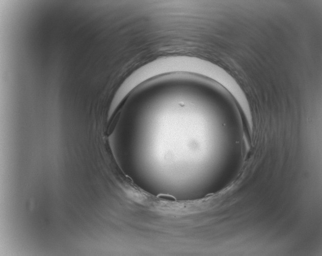 X0000070880045200606302149