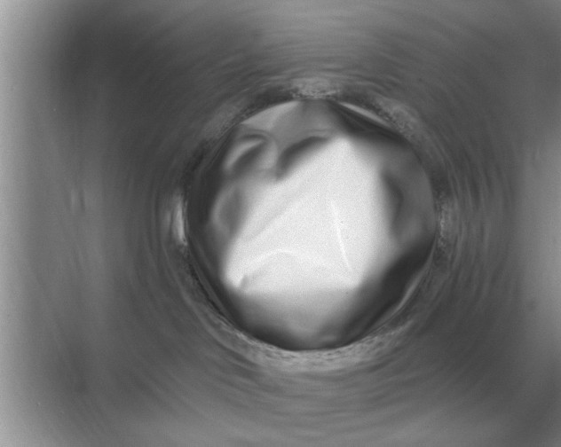 X0000070880046200606302149