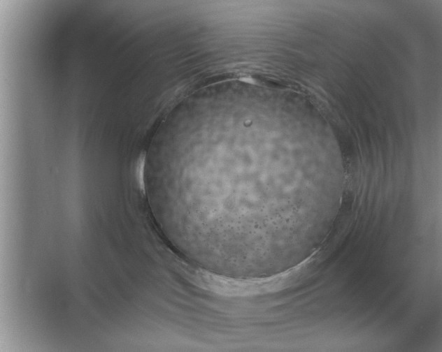 X0000070880047200606302149