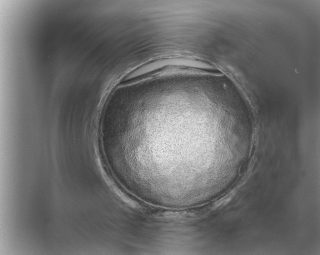 X0000070880049200606302148