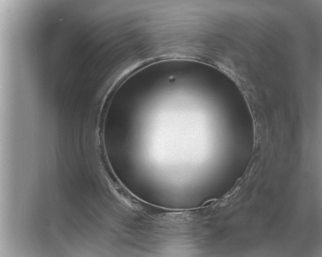 X0000070880050200606302148