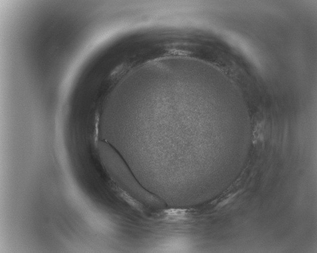 X0000070880052200606302148