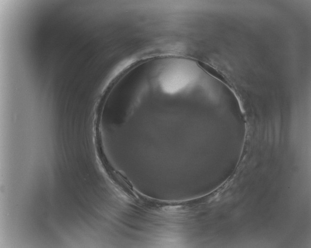 X0000070880054200606302148