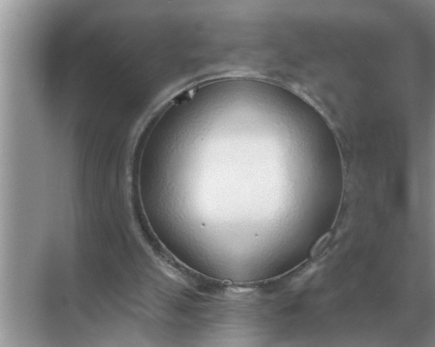 X0000070880055200606302148