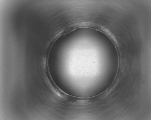 X0000070880057200606302148