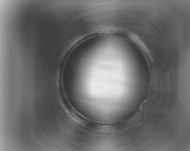 X0000070880058200606302148