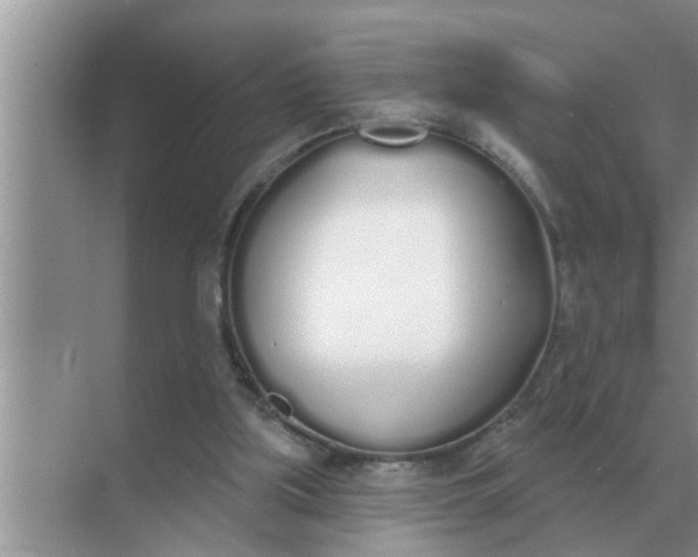 X0000070880059200606302148