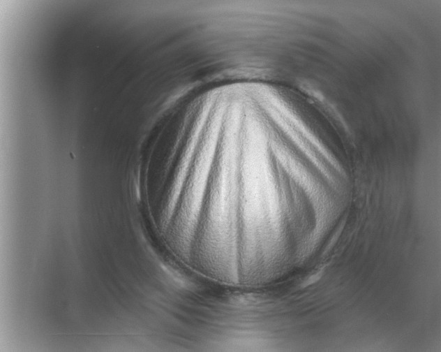 X0000070880062200606302148