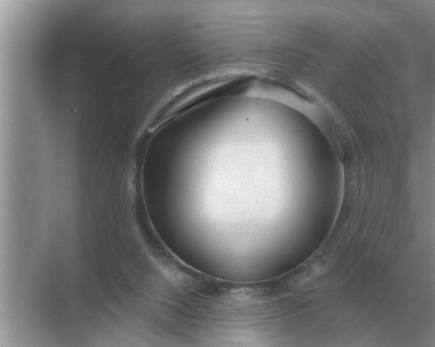 X0000070880064200606302148