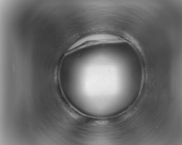 X0000070880065200606302148