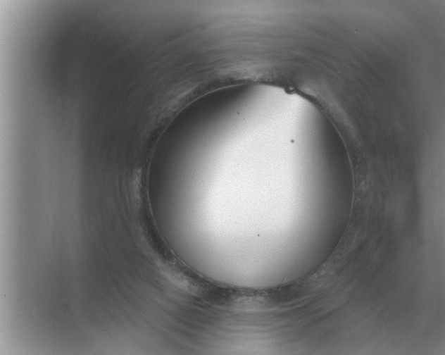 X0000070880066200606302148