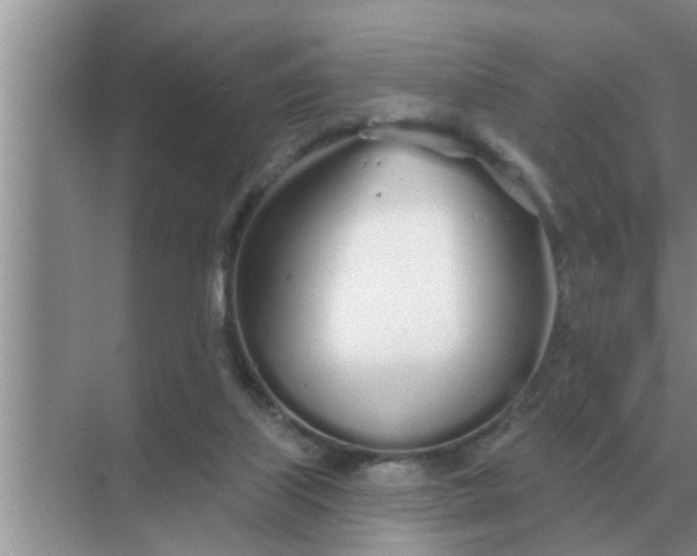 X0000070880067200606302148