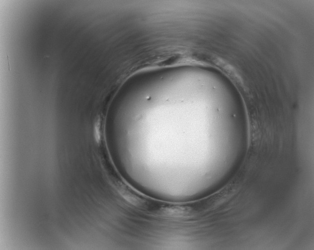 X0000070880069200606302148