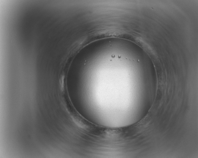 X0000070880070200606302148