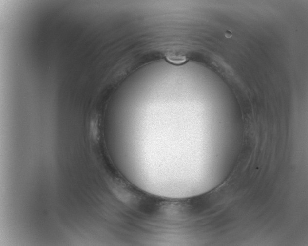 X0000070880074200606302148