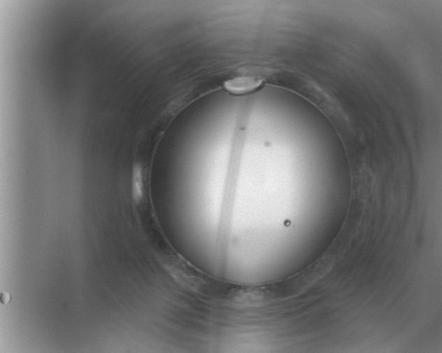 X0000070880075200606302148