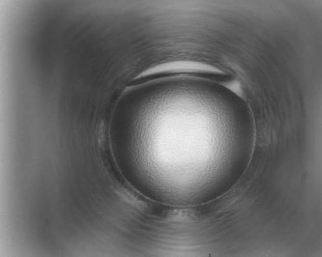 X0000070880077200606302148