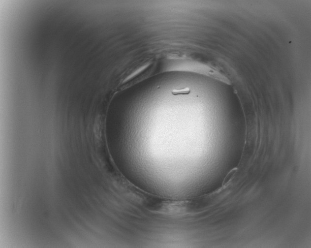 X0000070880078200606302148