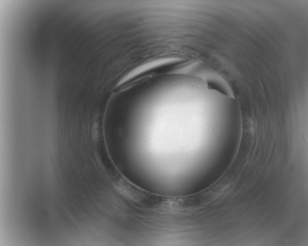 X0000070880080200606302148