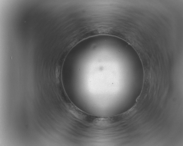 X0000070880082200606302148