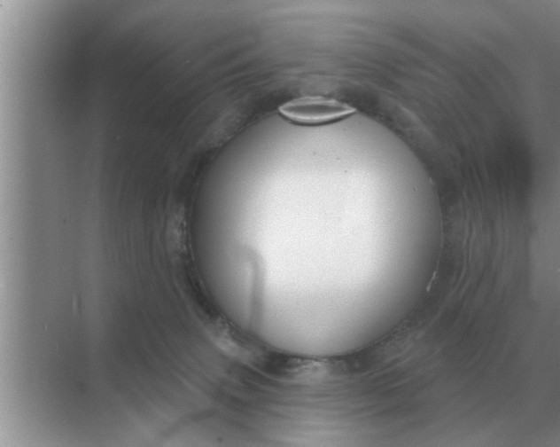 X0000070880083200606302148