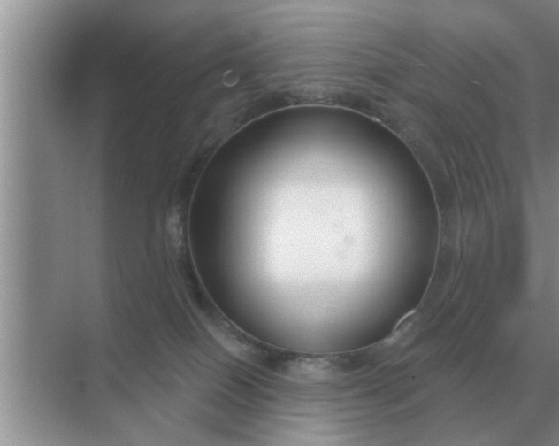 X0000070880086200606302148