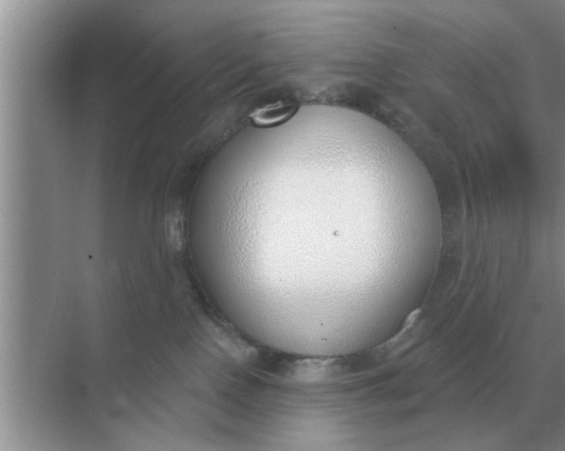 X0000070880090200606302148