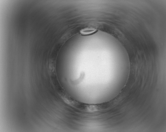 X0000070880091200606302148