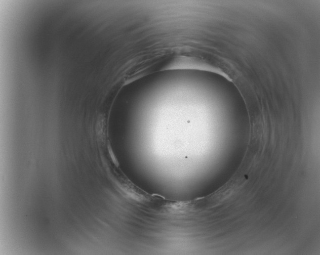 X0000070880092200606302148