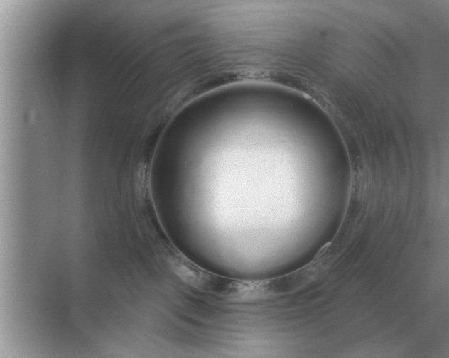 X0000070880093200606302148