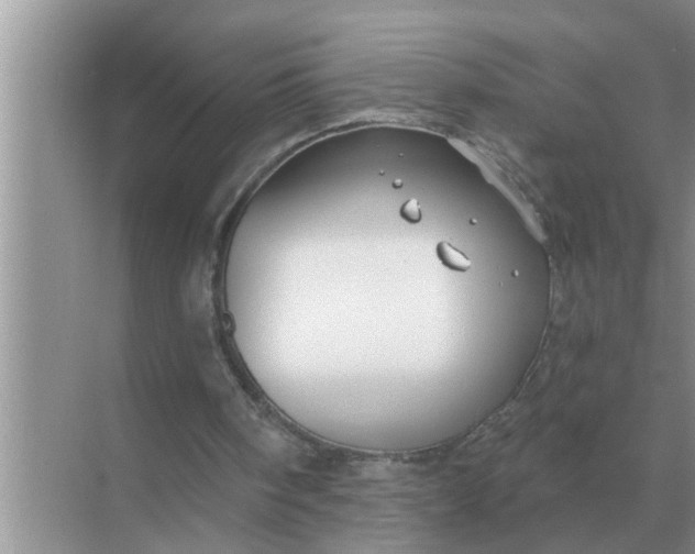 X0000070880098200606302148