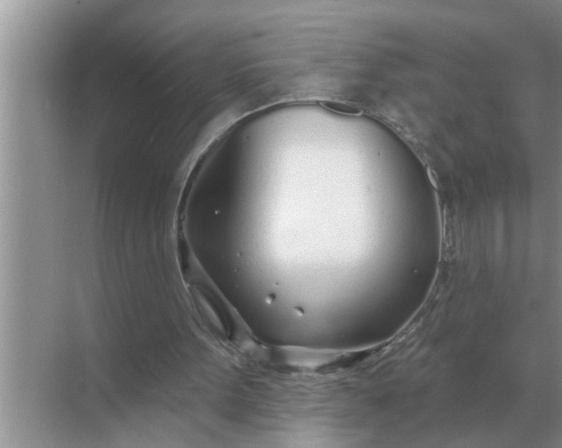 X0000070880099200606302148