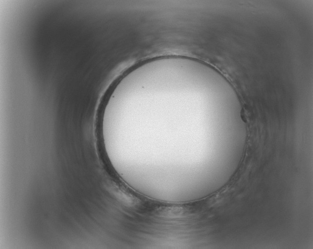 X0000070880104200606302148