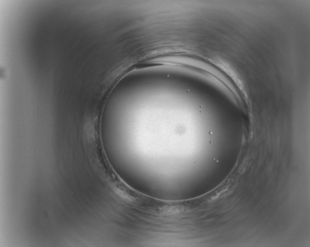 X0000070880105200606302148