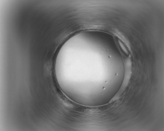 X0000070880107200606302148